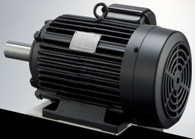 标准型无传感器同步电机(GNB) 